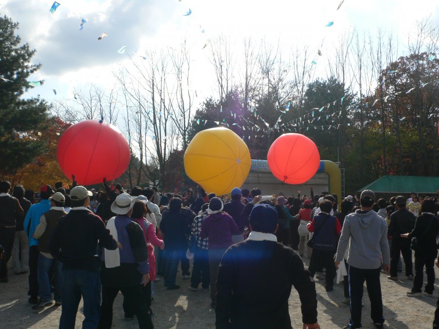 (주)알파인슈어런스 전사 체육대회