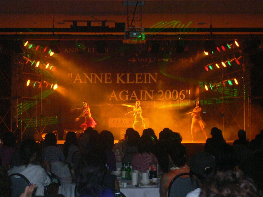 ANNE KLEIN AGAIN 2006