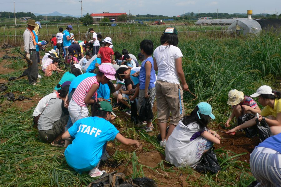 양천구 청소년 전통체험 및 승마체험