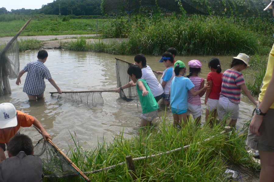양천구 청소년 전통체험 및 승마체험